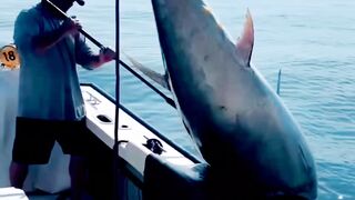 Fakta gila ikan tuna