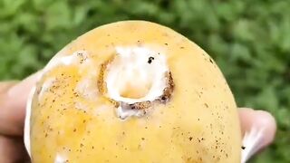 The Most Delicious Wild Fruit