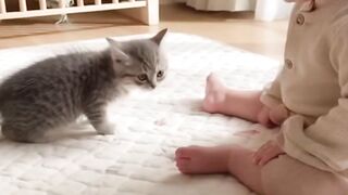 Afraid of cockroaches