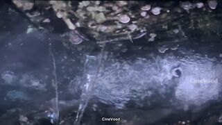 Predator Badlands 2025 English (Part-2)