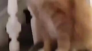 shake it again yeah haha