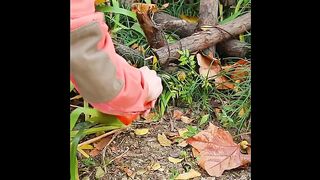 Portable Gas Stove for Camping with a Windproof Gas Burner