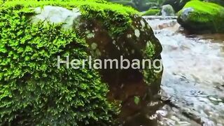 Suasana pedesaan yang bikin betah