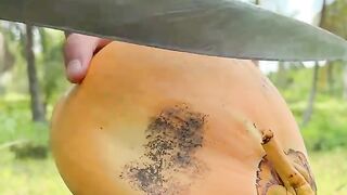 A Coconut Fress
