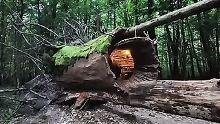survive
