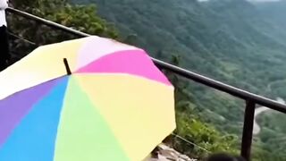 rasain tuhh  funny reaction animals ai