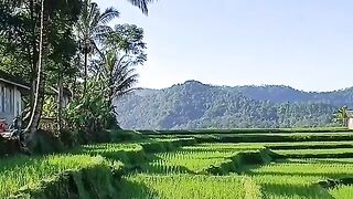 Peaceful Life in the Countryside