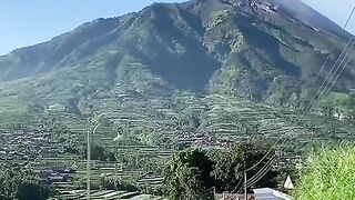The Green Heart of My Village