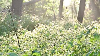 Reduce STRESS in Minutes with These 10 Natural Hacks