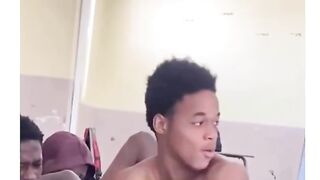 funny videos