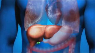 Liver health information