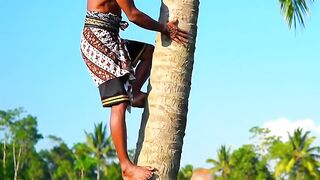 Grandpa Climbs the Coconut Tree While Grandma Waits Below  True Village Life