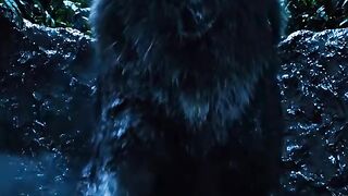 Heroic Team Saves Wolf from Giant Python Pit