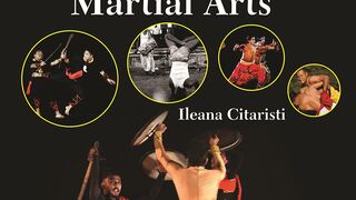 Amzing martial art