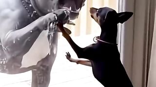 dog pro