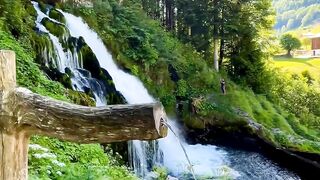 force of nature you like