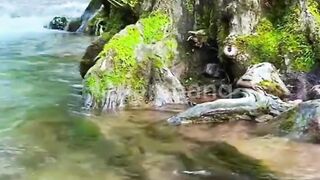 Suasana kampung yang sejuk dengan air sungai mengalir deras