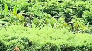 Go green to keep it clean.