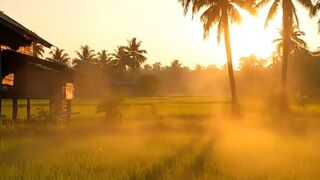 Peaceful Morning in a Hidden Village  Soothing Nature Cinematic