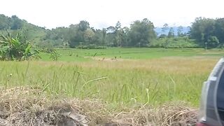 Pemandangan danau maninjau dan bukit barisan