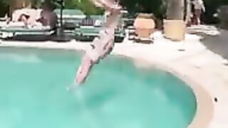 When something is difficult but if it is done by a pro, it will look easy