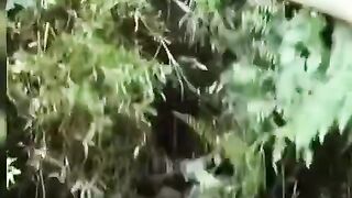lagi banyak pikiran siabangnya