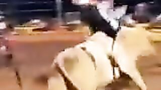 You wont believe this is real! Luck and skill that are hard to replicate.