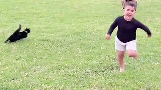 The Fluffy Hero! Best Guard Cats