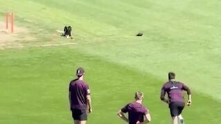 Mark Wood gears up for a return