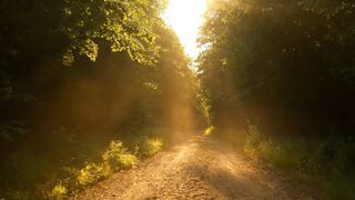 The Dirt Road of Memories