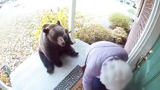 pasti ketawa  funny reaction ai