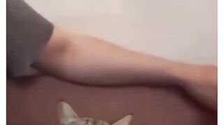 Quando bate o choque Amanhã já é segunda-feira