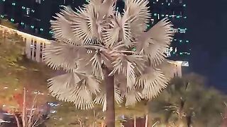 Suasana malam di ibu kota