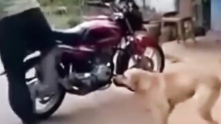 please dont wear my helmet