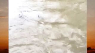 terkejut balon hijau door