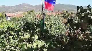 ШИЗОФРЕНИЯТА Е ПЪЛНА