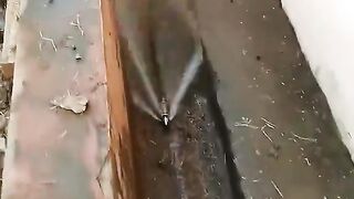 fcgvdfdg