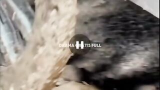 Takdir 3 istri cantik dengan seorang pria ajaib