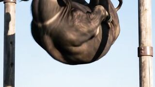 The Strongest Buffalo! Pull-Up Contest Makes Netizens Laugh