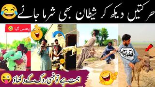 New Trending Funny Videos