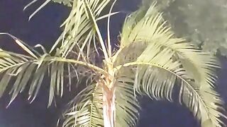 Angin segar di the full