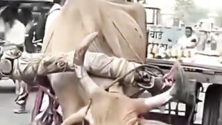 buying a Kamal Kar Diya