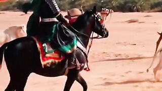 Mola Abbas
