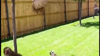 Tolong, aku gak kuat!