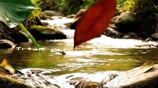 A Small River by the Rice Fields The Quiet Flow of Time