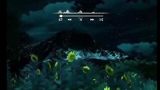 Tilawat e Quran Majeed