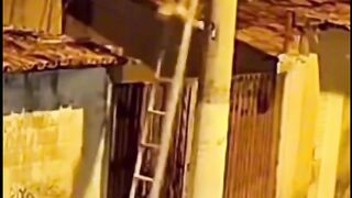 Funny video viral ۲۰۲۵