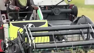 Máy Cắt Lúa Kubota DC  108 X