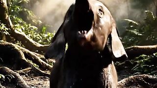 Python Attacks Baby Elephant