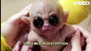 [Completo] fan bus videos baby alien car video gem jewels the fan bus